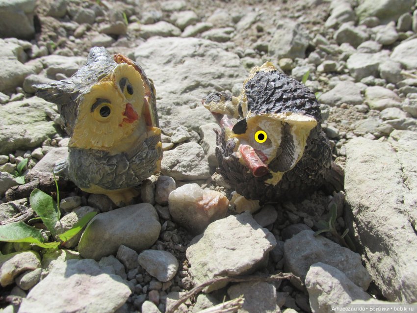 Возвращение в Землю Древних, часть 6: В поисках трилобита (фото 2)