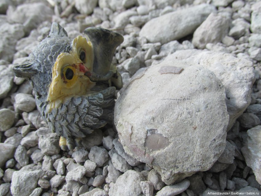 Возвращение в Землю Древних, часть 6: В поисках трилобита