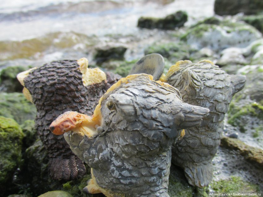 Возвращение в Землю Древних, часть 6: В поисках трилобита