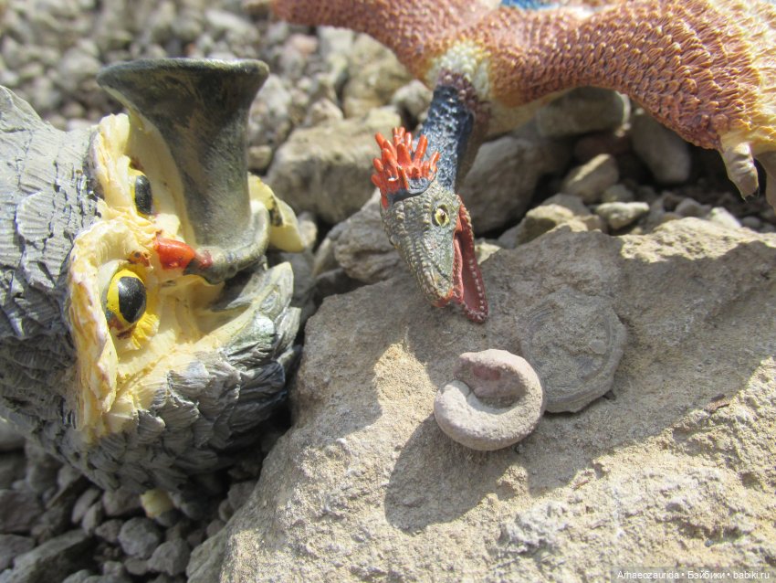 Возвращение в Землю Древних, часть 6: В поисках трилобита (фото 9)