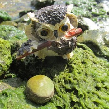 Возвращение в Землю Древних, часть 6: В поисках трилобита