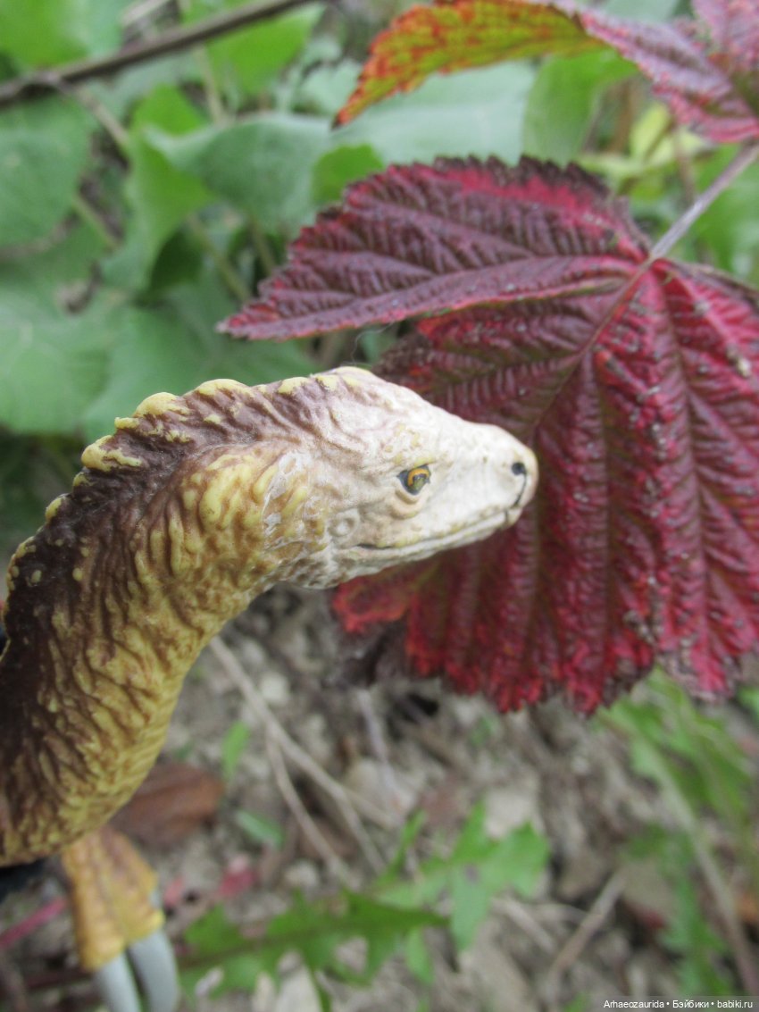 Возвращение в Землю Древних, часть 7: Каменные Холмы (фото 2)