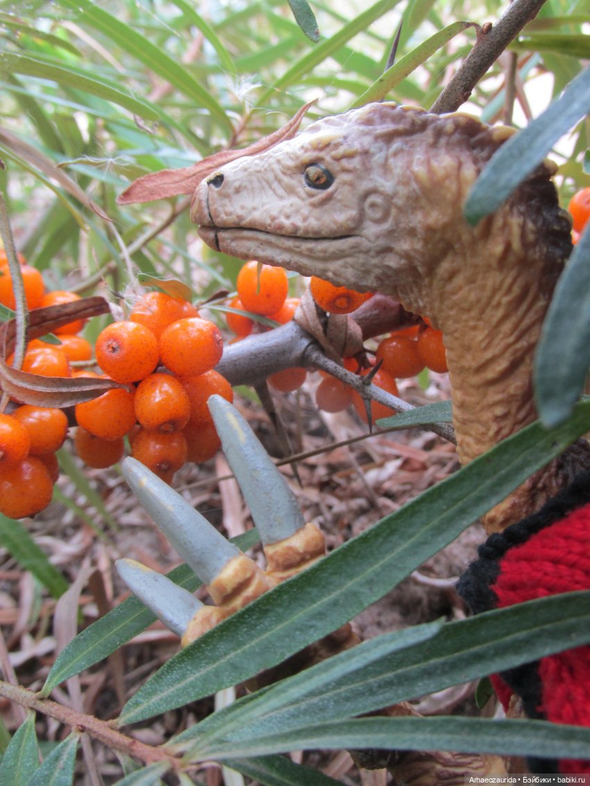 Возвращение в Землю Древних, часть 7: Каменные Холмы (фото 3)