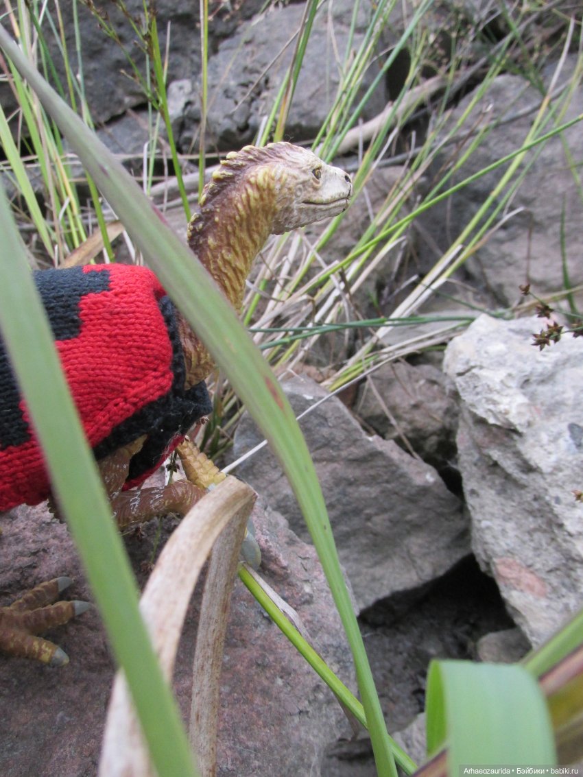 Возвращение в Землю Древних, часть 7: Каменные Холмы (фото 7)