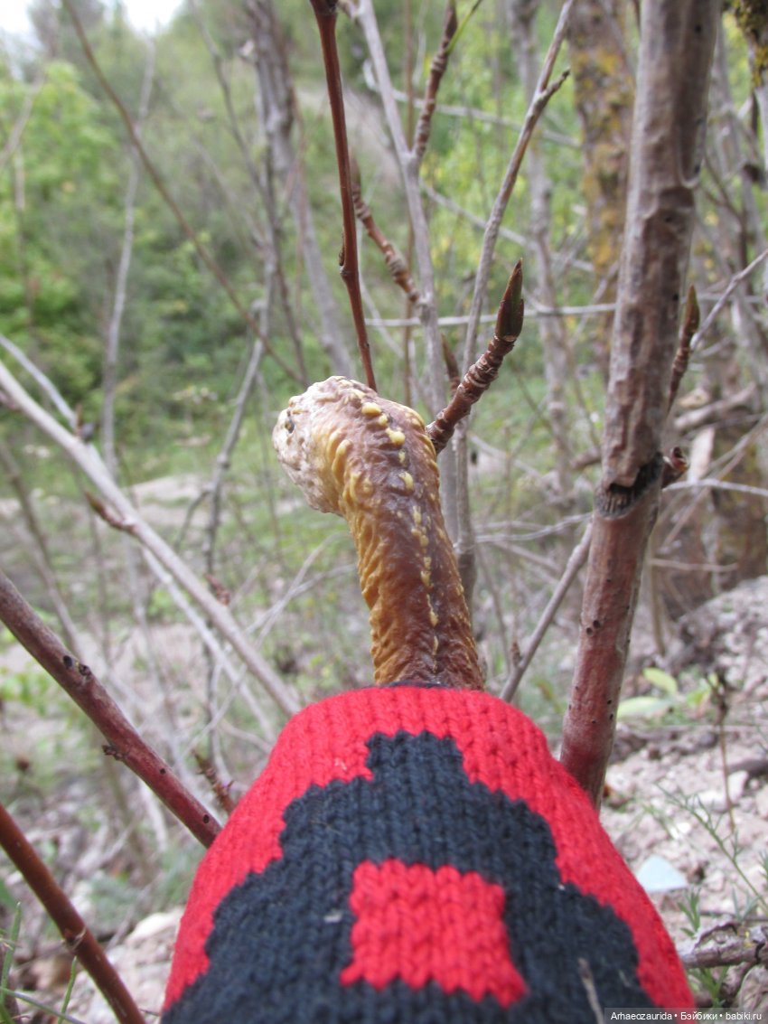 Возвращение в Землю Древних, часть 7: Каменные Холмы