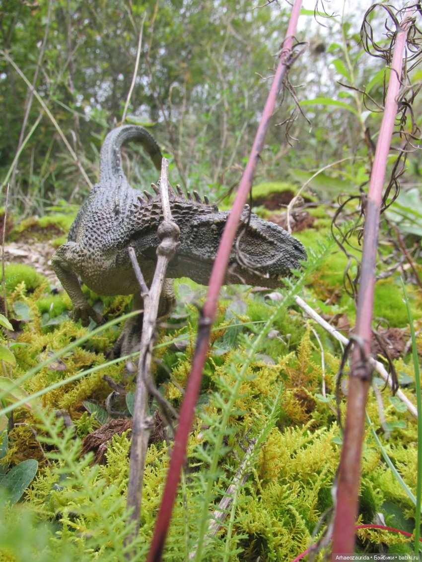 Возвращение в Землю Древних, часть 7: Каменные Холмы