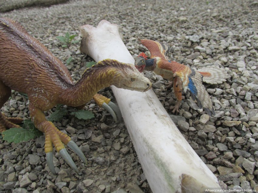 Путешествия ящеров: Зурга и Шурр в Белой Суши (фото 10)