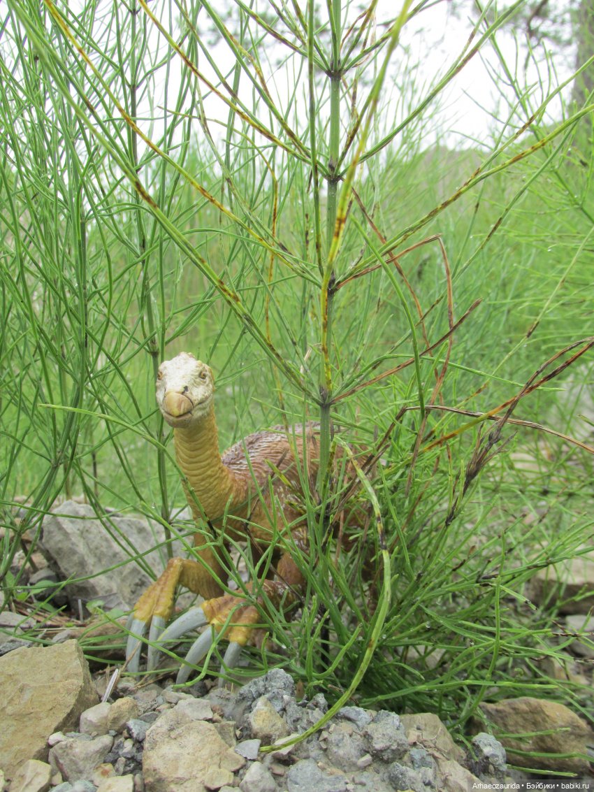 Путешествия ящеров: Зурга и Шурр в Белой Суши