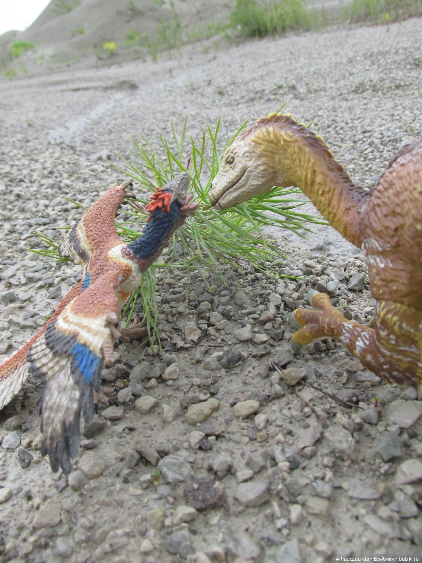 Путешествия ящеров: Зурга и Шурр в Белой Суши (фото 9)