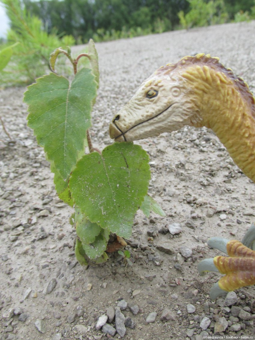 Путешествия ящеров: Зурга и Шурр в Белой Суши (фото 5)