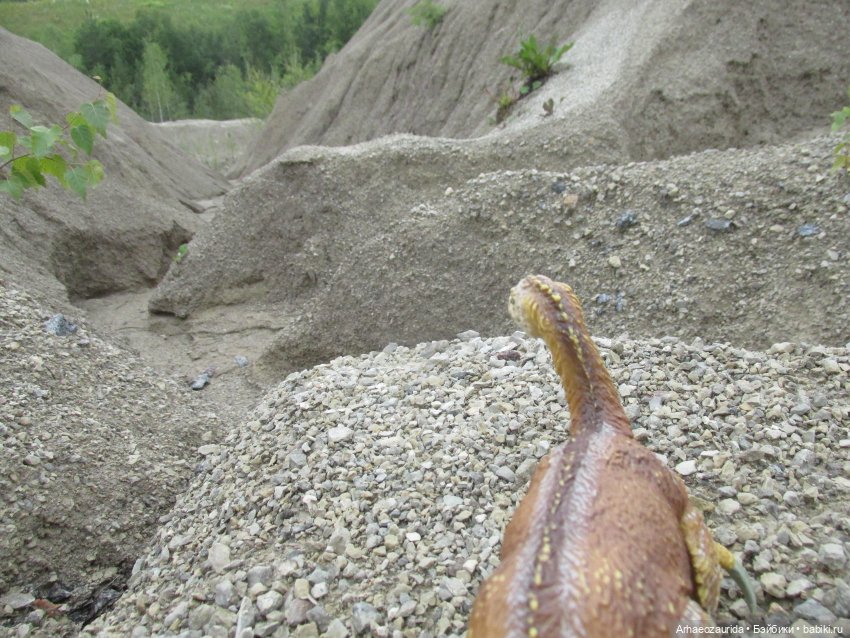 Путешествия ящеров: Зурга и Шурр в Белой Суши