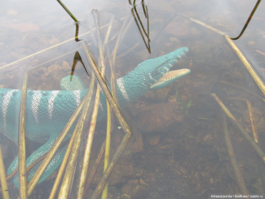 Ящеры у Реки: тайник Древних (фото 7)