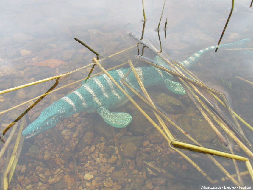 Ящеры у Реки: тайник Древних (фото 8)