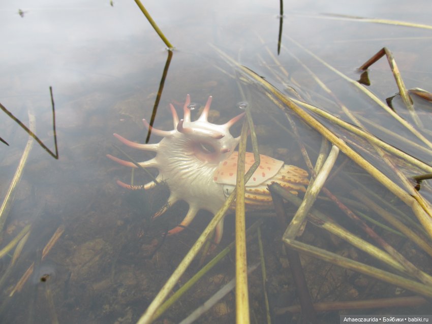 Ящеры у Реки: тайник Древних (фото 6)