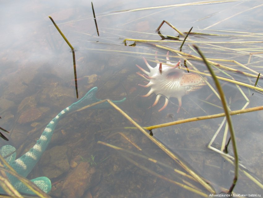 Ящеры у Реки: тайник Древних (фото 9)