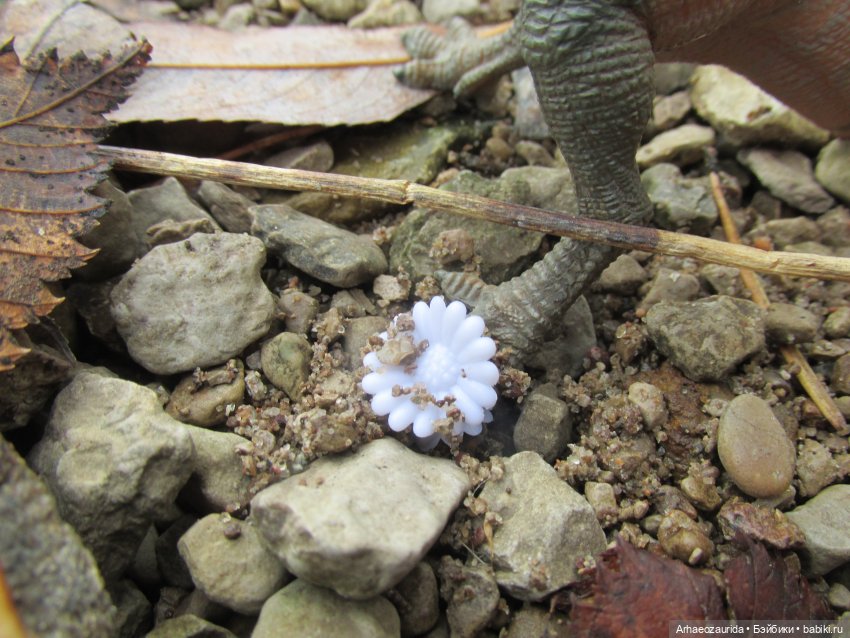 Ящеры у Реки: тайник Древних