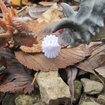 Ящеры у Реки: тайник Древних