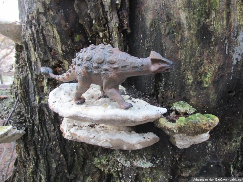 Ящеры в лесу: грибы и ягоды | Бэйбики Ящеры в лесу: грибы и ягоды