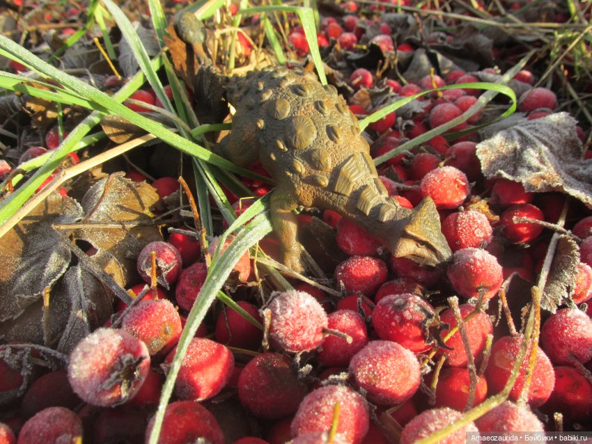 Ящеры в лесу: грибы и ягоды | Бэйбики Ящеры в лесу: грибы и ягоды