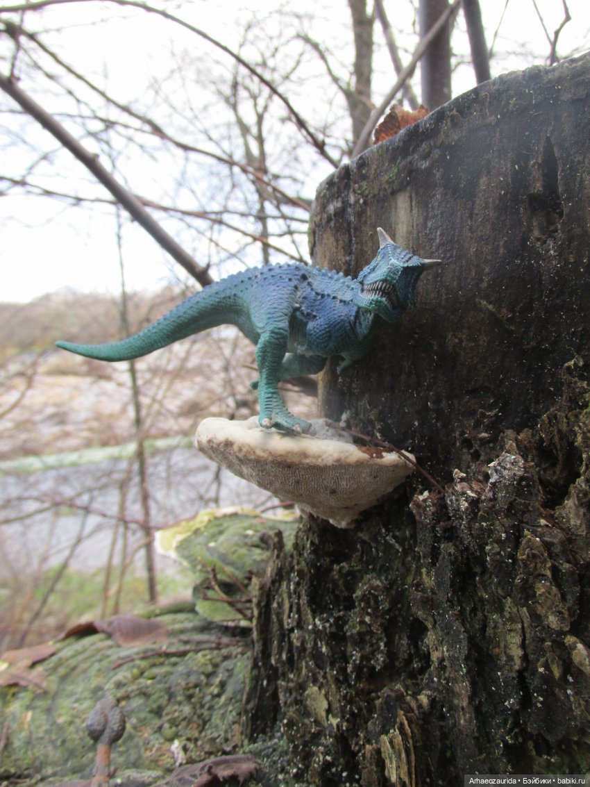 Ящеры в лесу: грибы и ягоды | Бэйбики Ящеры в лесу: грибы и ягоды