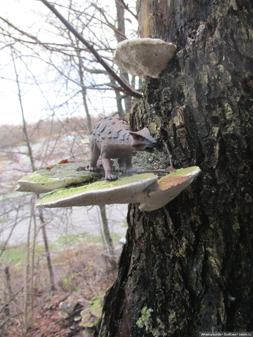 Ящеры в лесу: грибы и ягоды | Бэйбики Ящеры в лесу: грибы и ягоды