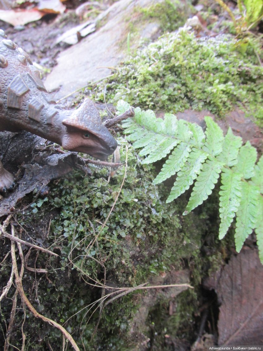 Ящеры в лесу: грибы и ягоды | Бэйбики Ящеры в лесу: грибы и ягоды (фото 9)