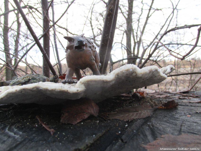 Ящеры в лесу: грибы и ягоды | Бэйбики Ящеры в лесу: грибы и ягоды