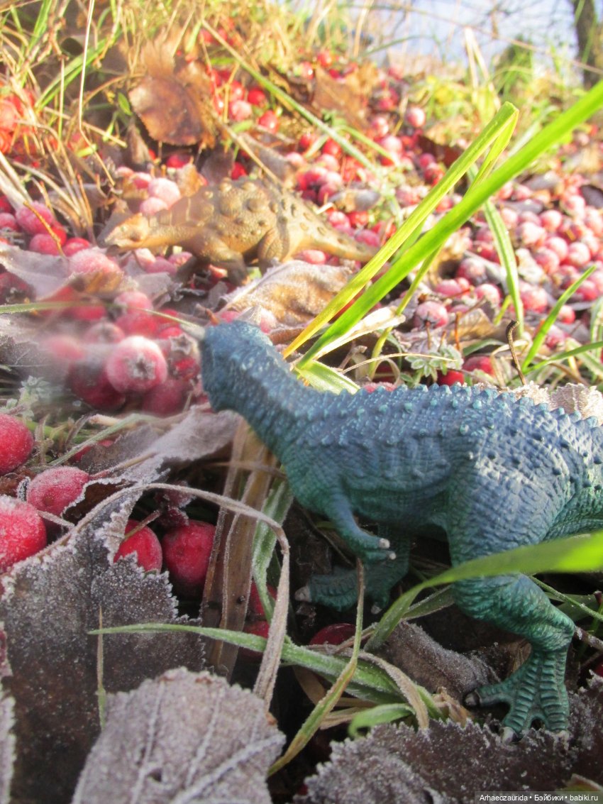 Ящеры в лесу: грибы и ягоды