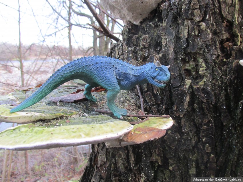 Ящеры в лесу: грибы и ягоды | Бэйбики Ящеры в лесу: грибы и ягоды