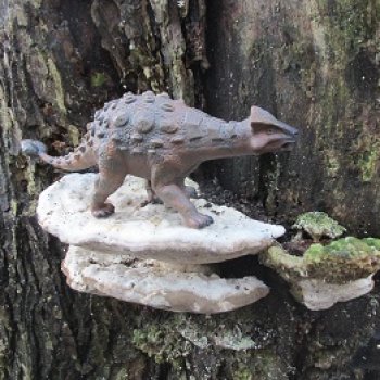 Ящеры в лесу: грибы и ягоды