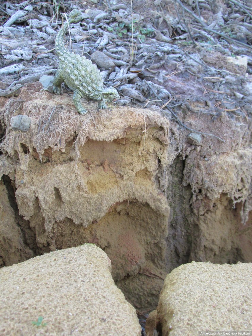 Ящеры в Розовых Скалах: Жёлтое ущелье | Бэйбики Ящеры в Розовых Скалах: Жёлтое ущелье (фото 6)