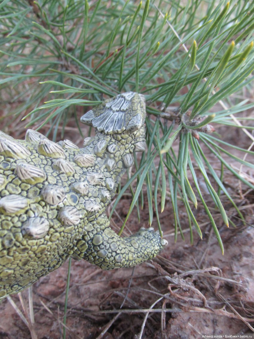 Ящеры в Розовых Скалах: Жёлтое ущелье | Бэйбики Ящеры в Розовых Скалах: Жёлтое ущелье (фото 2)