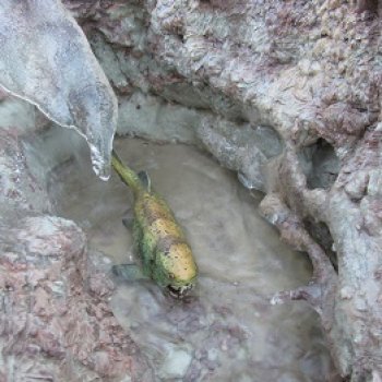 Ящеры в Розовых Скалах: Жёлтое ущелье