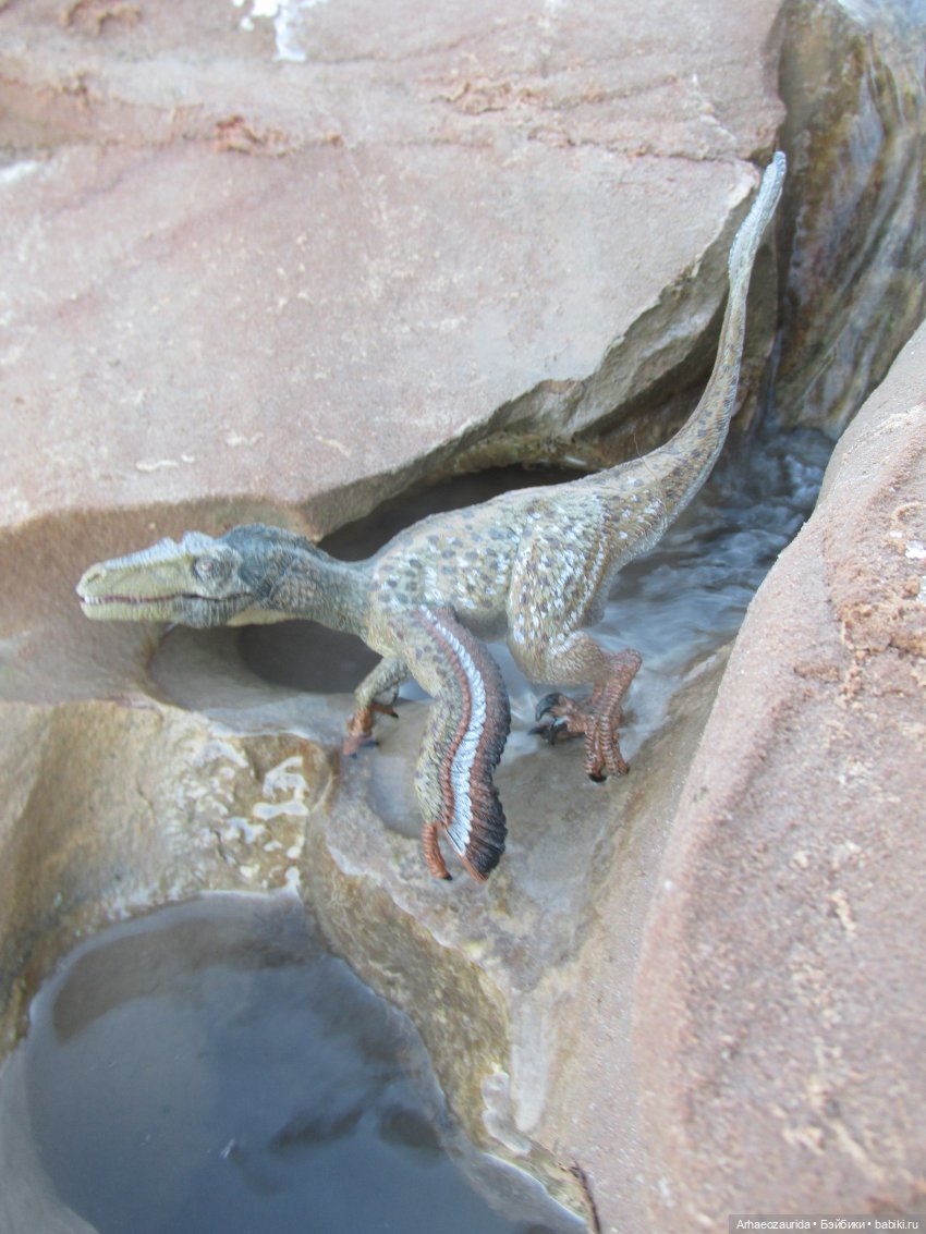 Ящеры в Розовых Скалах: зимняя рыбалка (фото 8)