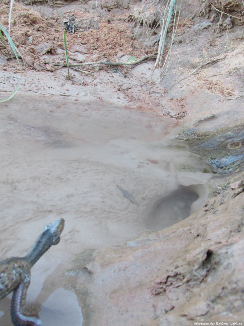 Ящеры в Розовых Скалах: зимняя рыбалка (фото 6)