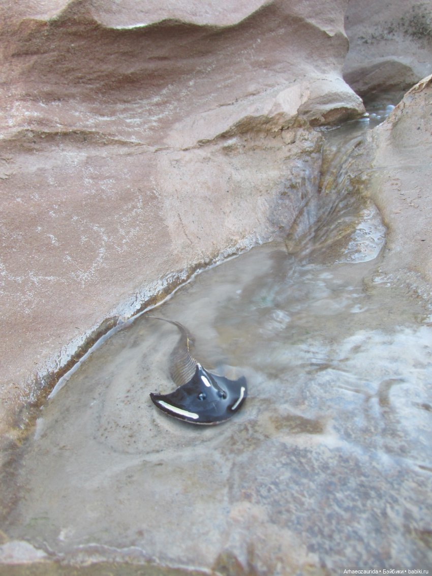 Ящеры в Розовых Скалах: зимняя рыбалка (фото 10)