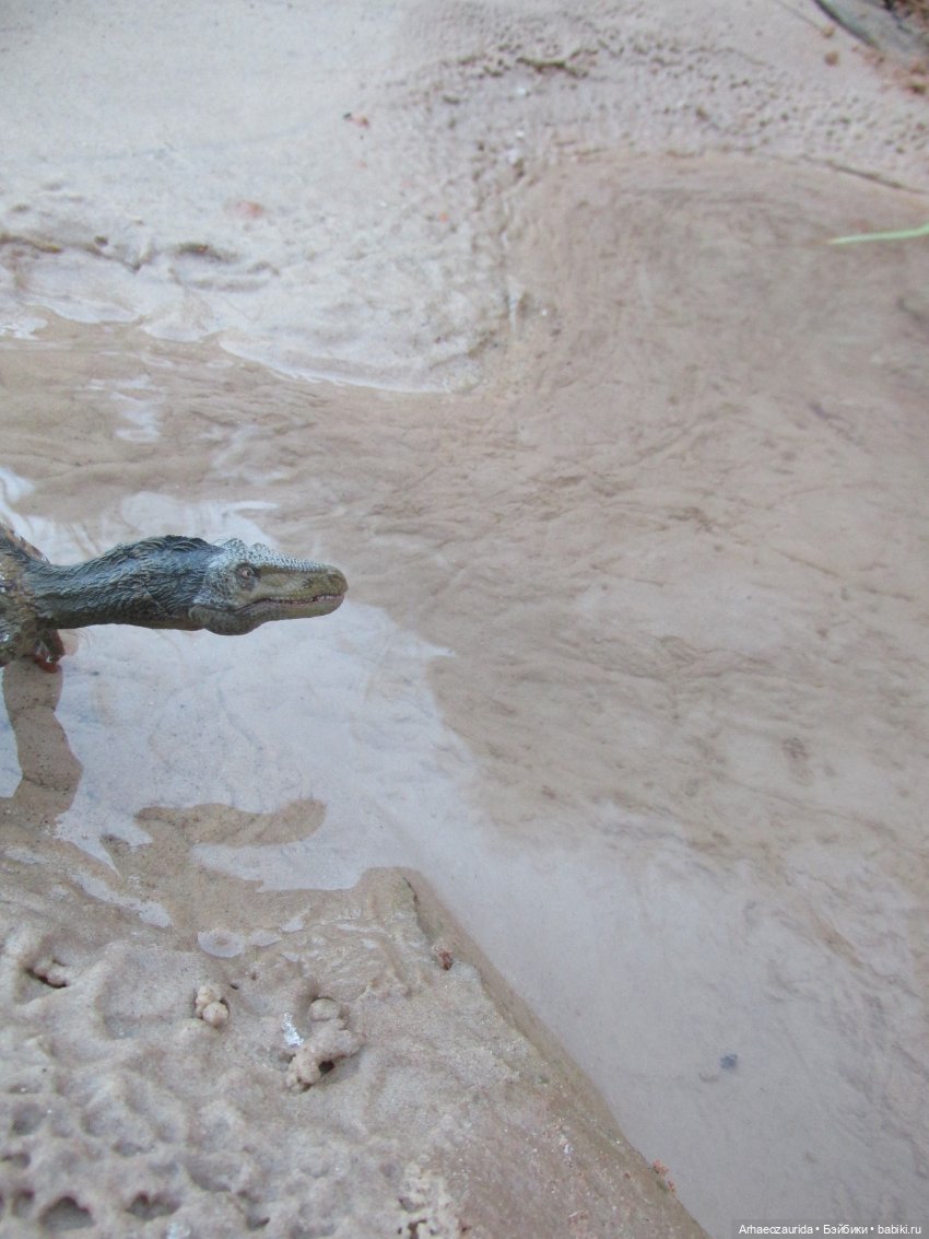 Ящеры в Розовых Скалах: зимняя рыбалка (фото 5)