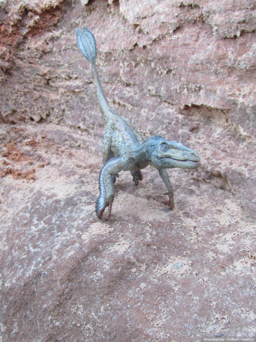 Ящеры в Розовых Скалах: зимняя рыбалка (фото 2)