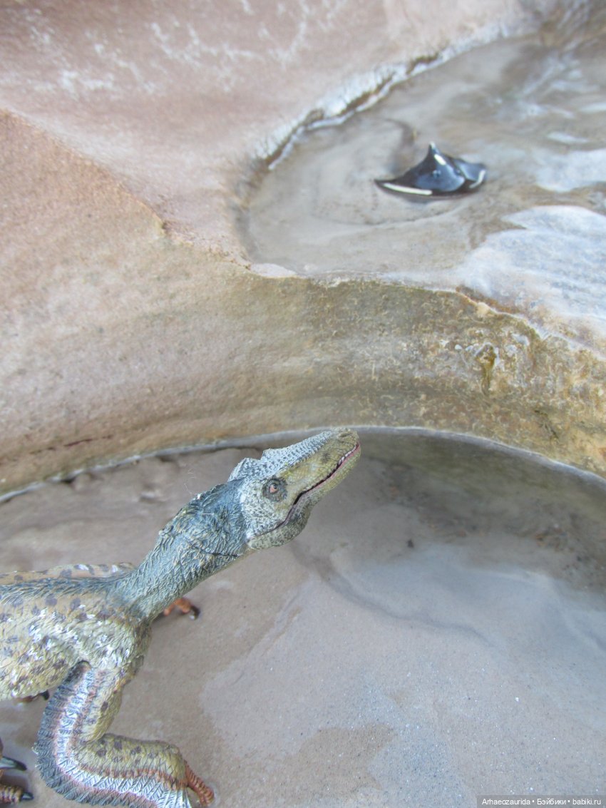 Ящеры в Розовых Скалах: зимняя рыбалка