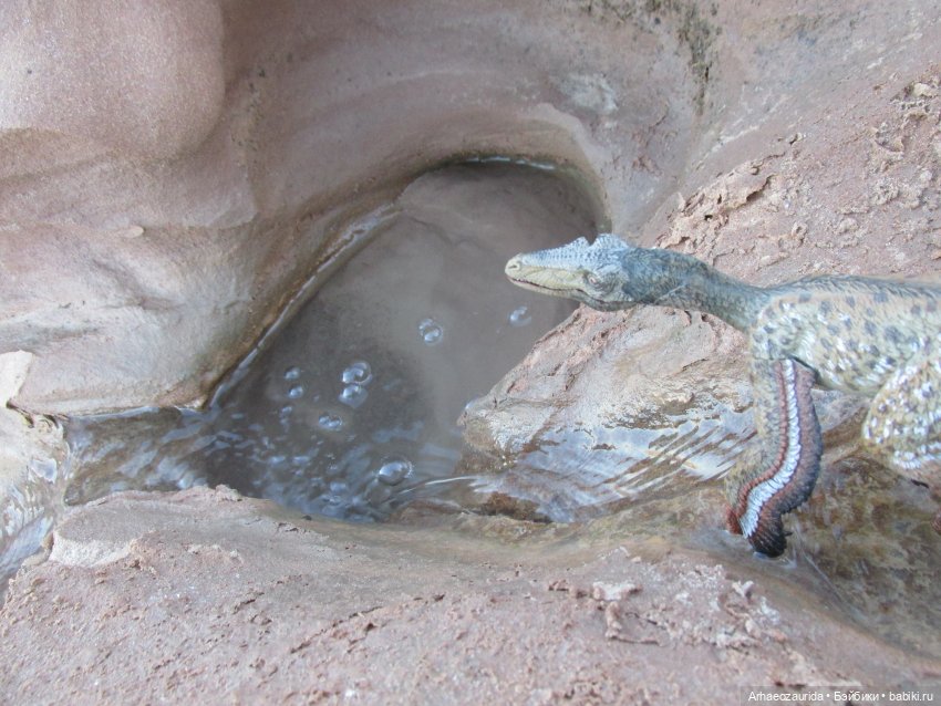 Ящеры в Розовых Скалах: зимняя рыбалка (фото 9)