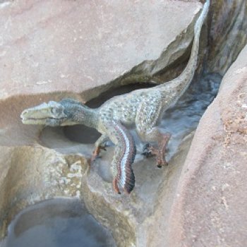 Ящеры в Розовых Скалах: зимняя рыбалка