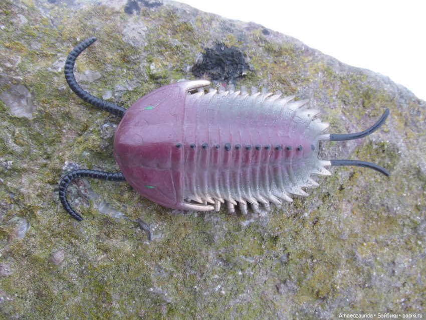 Трилобиты оттаяли — Интересные игрушки и фигурки (разное): редкие (фото 4)