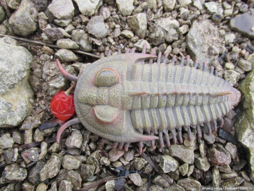 Трилобиты оттаяли — Интересные игрушки и фигурки (разное): редкие (фото 10)