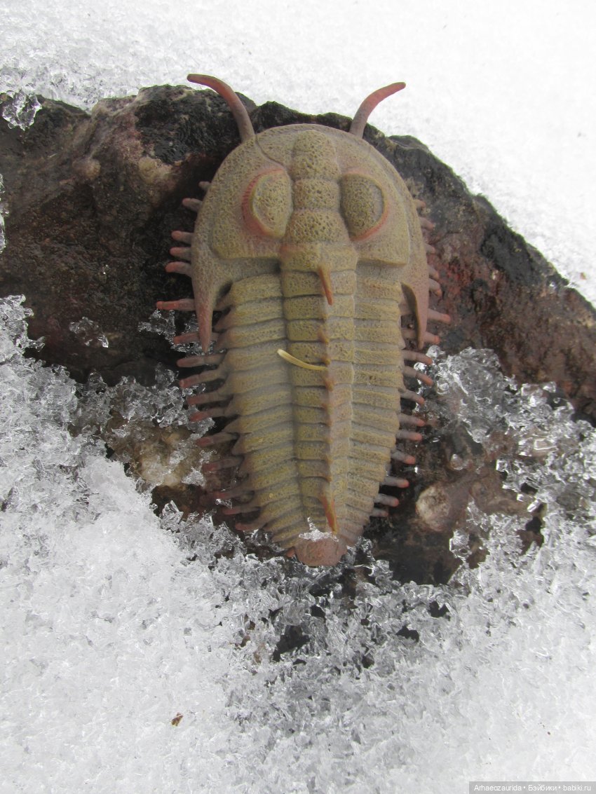 Трилобиты оттаяли — Интересные игрушки и фигурки (разное): редкие (фото 2)