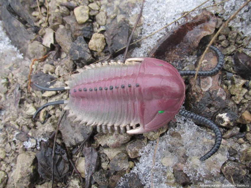 Трилобиты оттаяли — Интересные игрушки и фигурки (разное): редкие (фото 8)