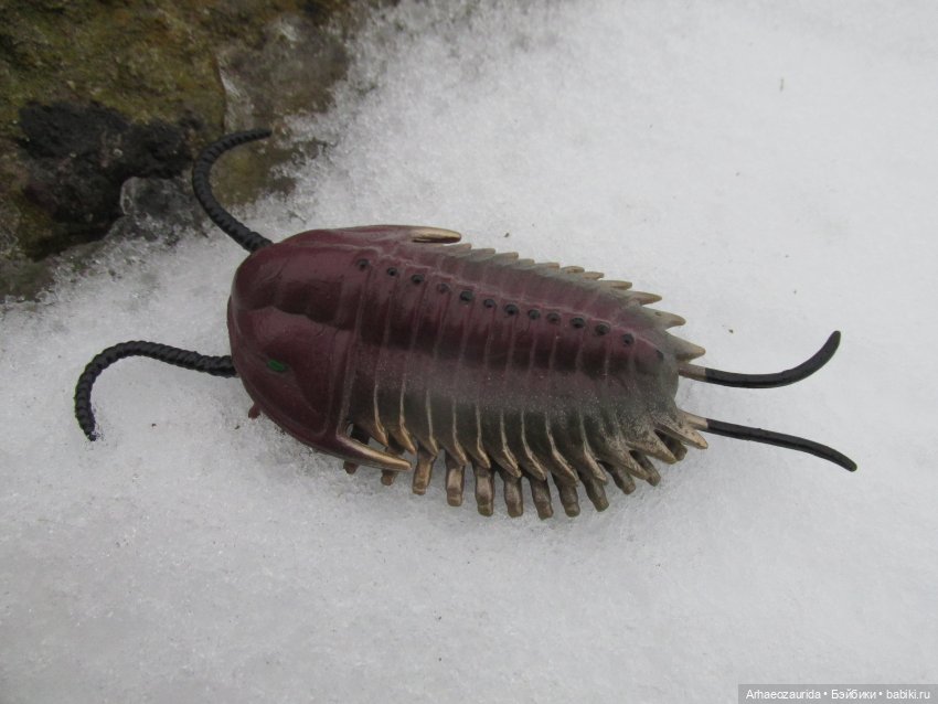 Трилобиты оттаяли — Интересные игрушки и фигурки (разное): редкие (фото 3)