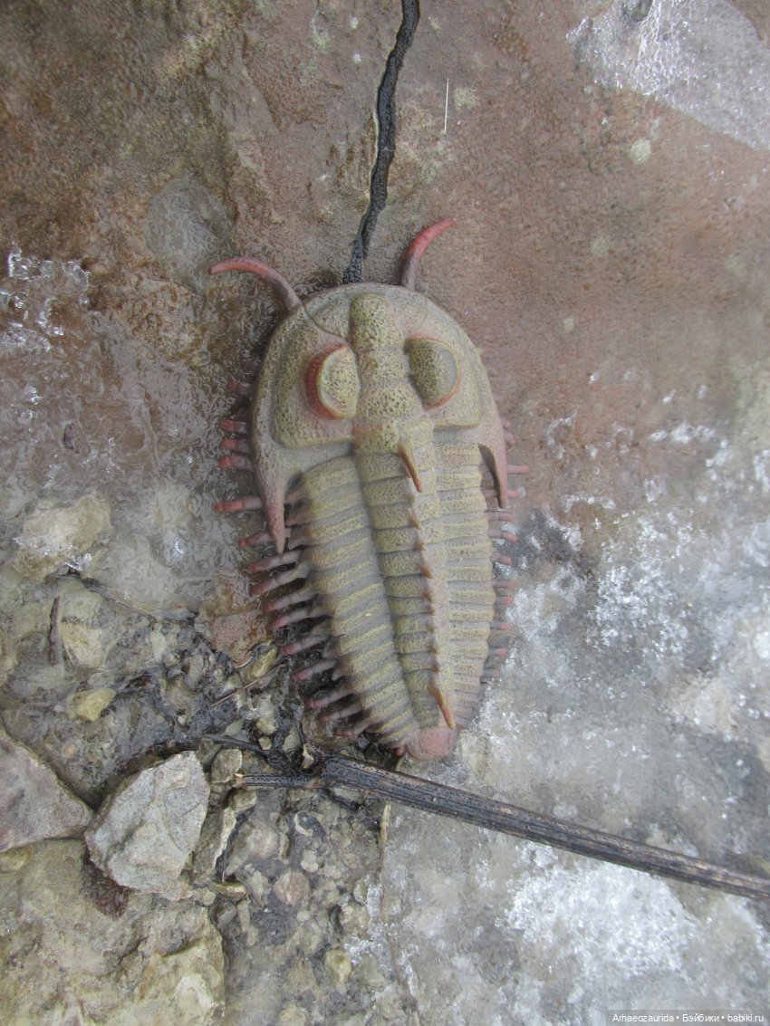 Трилобиты оттаяли — Интересные игрушки и фигурки (разное): редкие (фото 5)