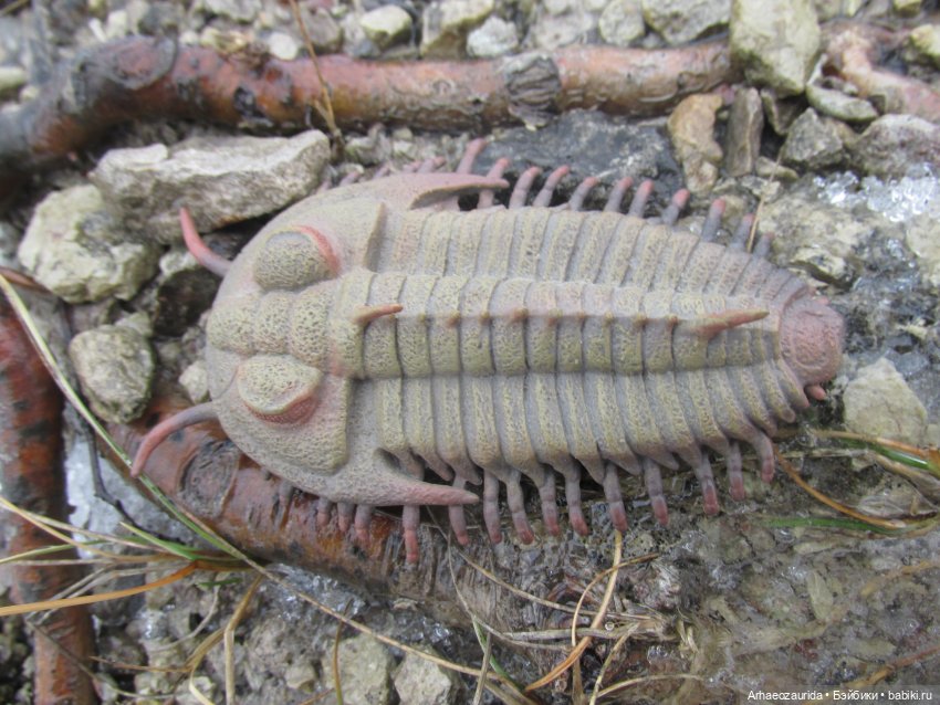 Трилобиты оттаяли — Интересные игрушки и фигурки (разное): редкие (фото 6)