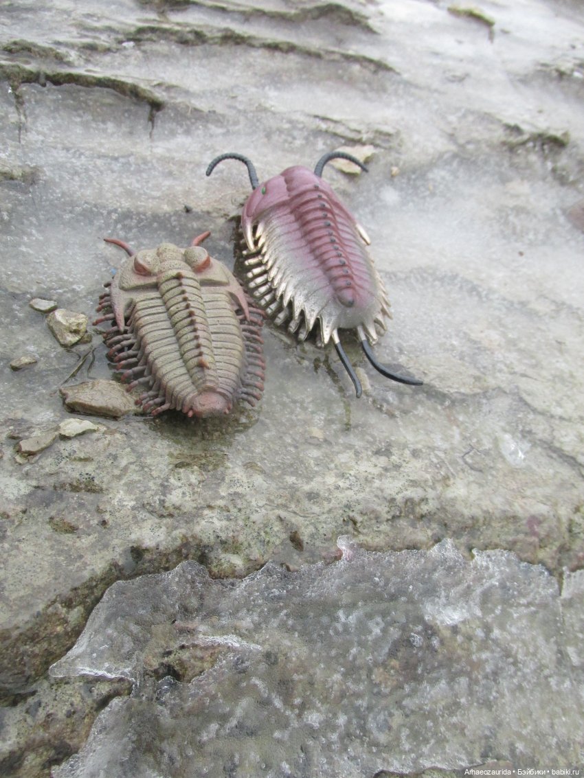 Трилобиты оттаяли — Интересные игрушки и фигурки (разное): редкие