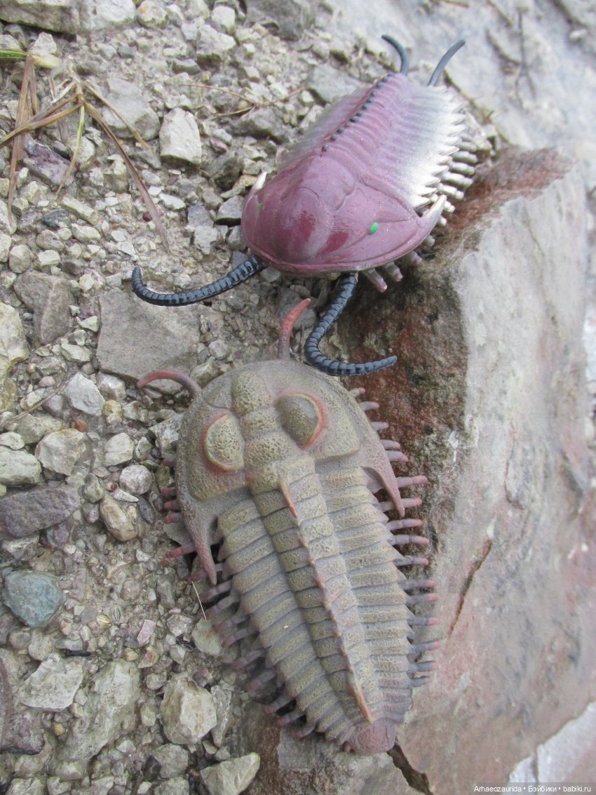 Трилобиты оттаяли — Интересные игрушки и фигурки (разное): редкие